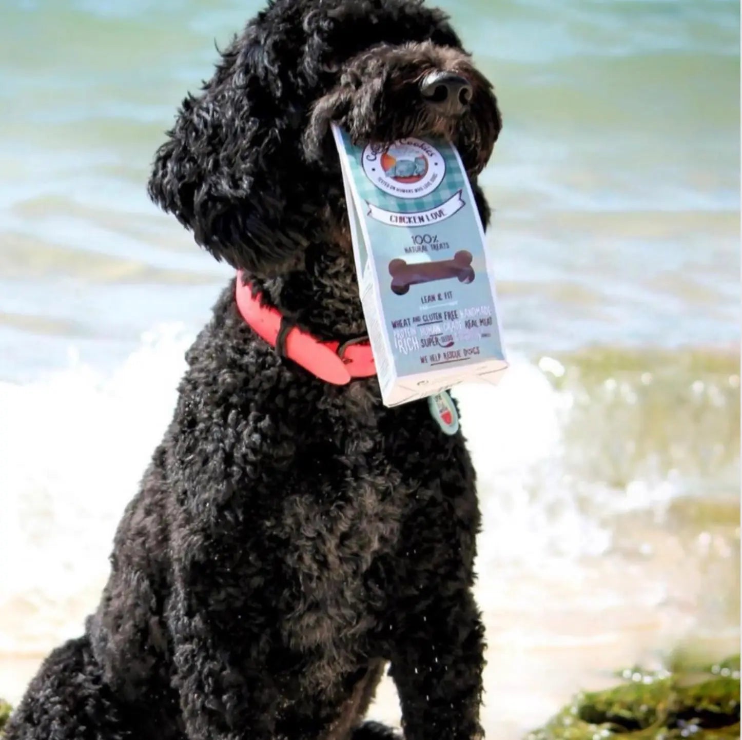 Chicken Love | Natural Dog Treats