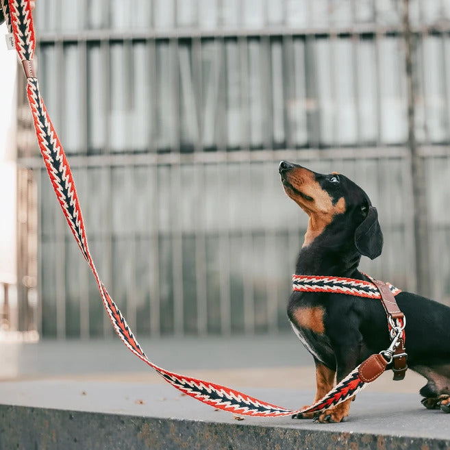 Peruvian Red Arrow Leash