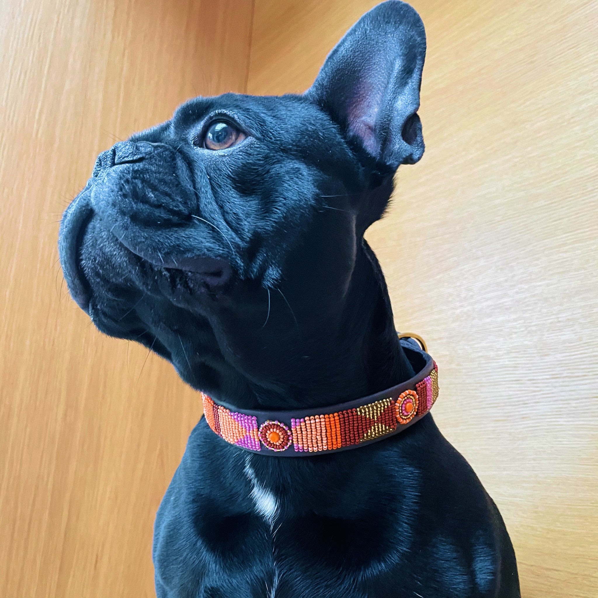 Beaded Dog Collar - Framboise