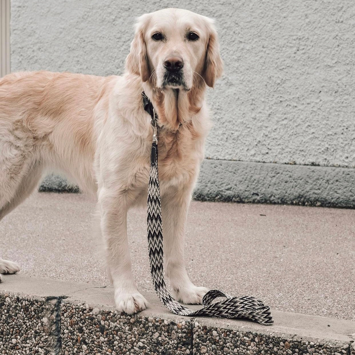Peruvian Black Adjustable Leash