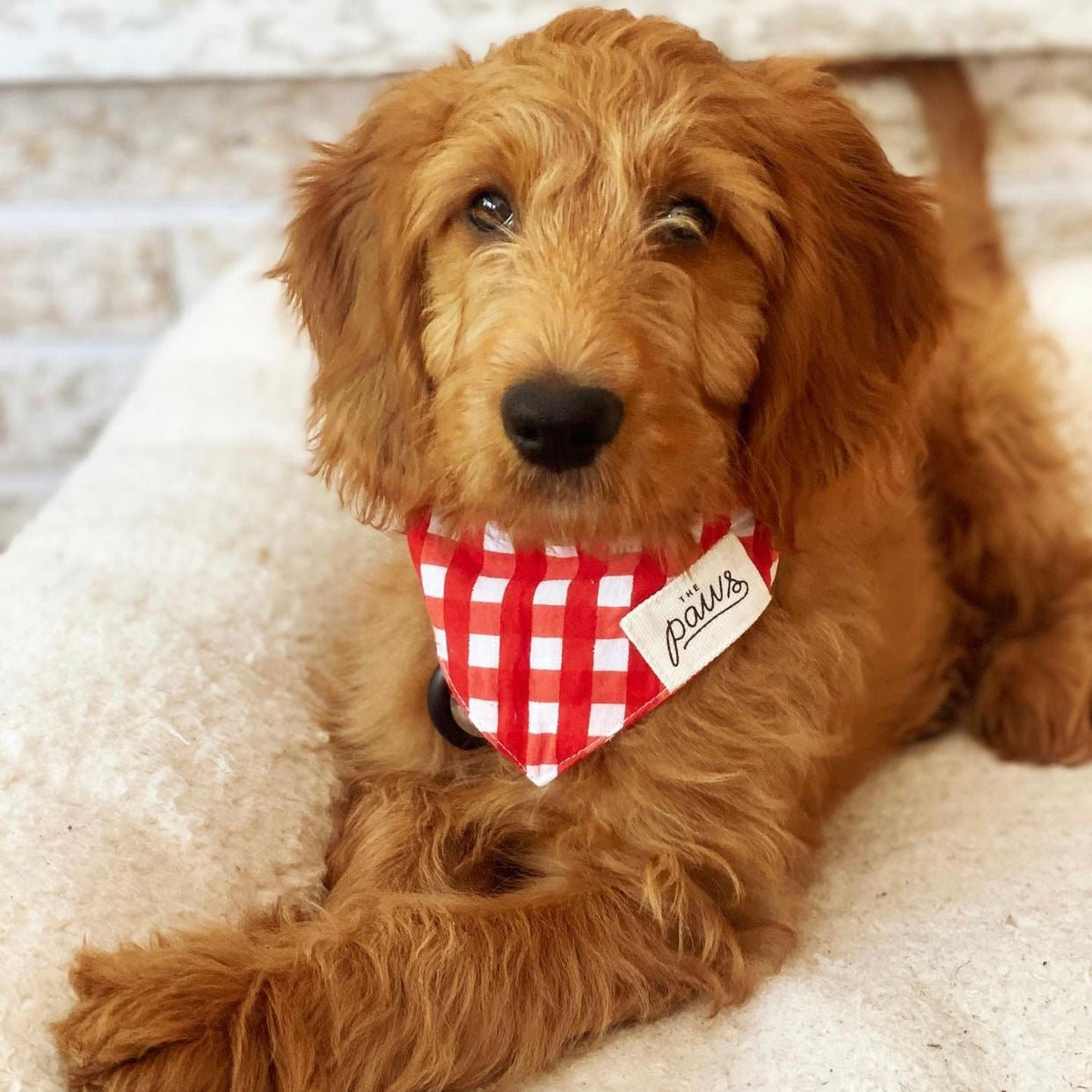 Classic Red Check Bandana