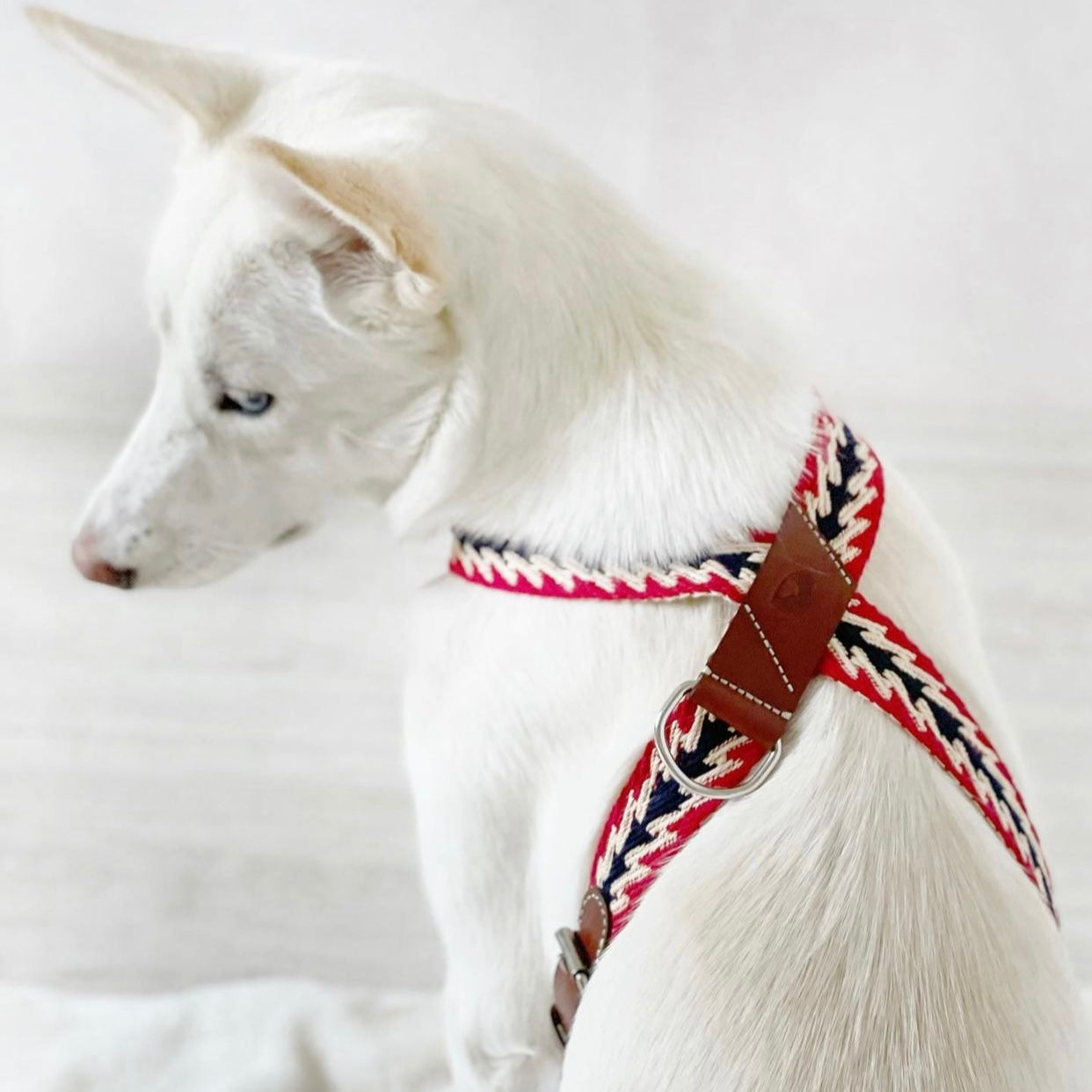Peruvian Red Arrow Harness