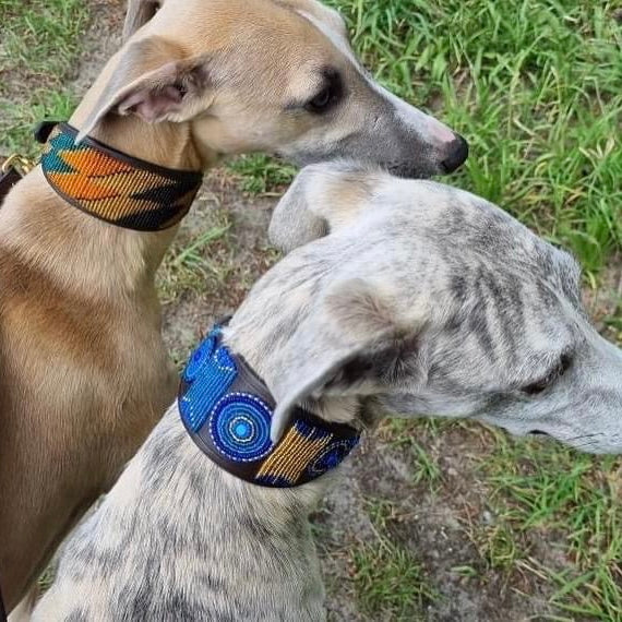 Beaded Lurcher - Charly