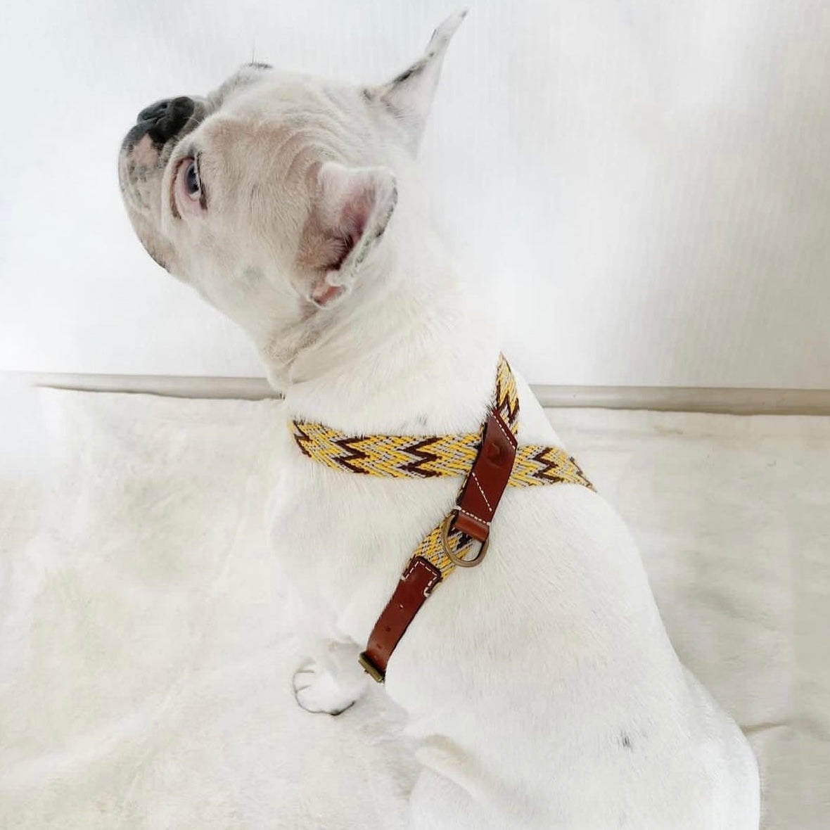 Peruvian Gold Harness