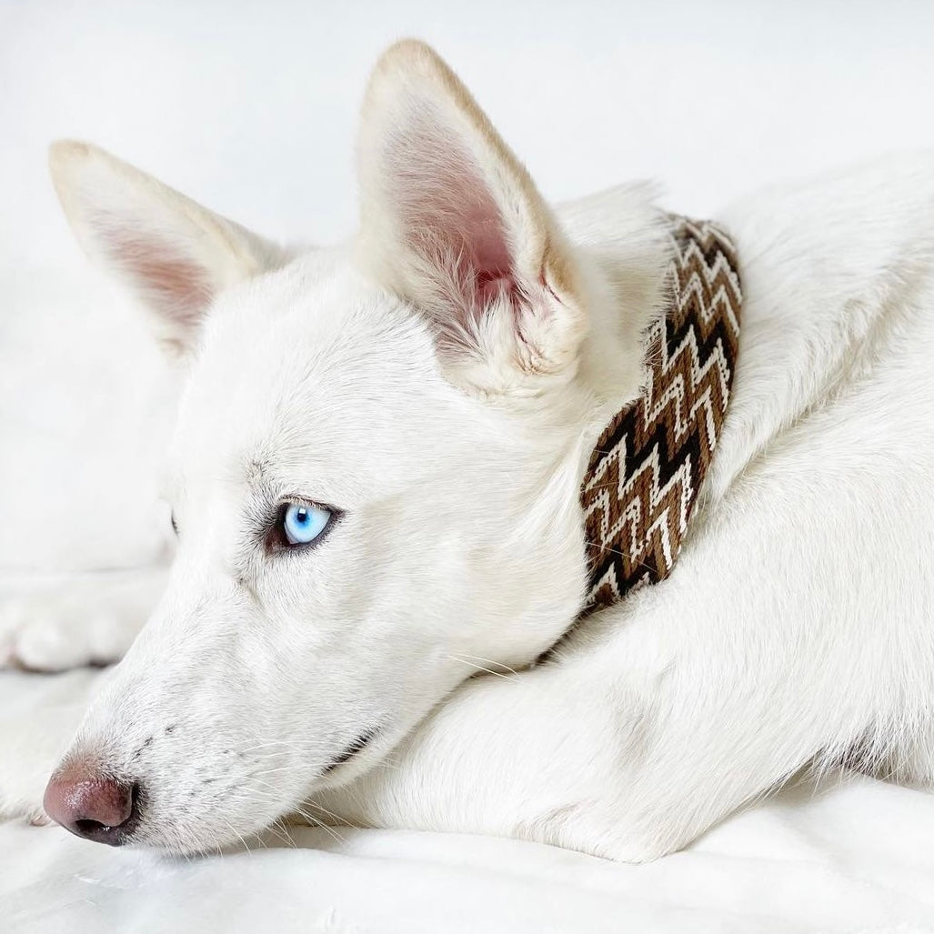 Peruvian Brown Collar