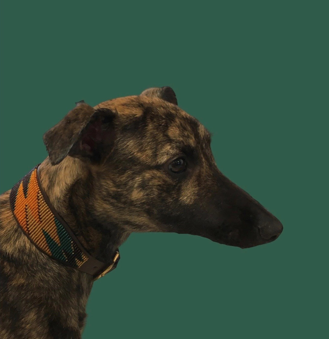 Beaded Lurcher - Bolt