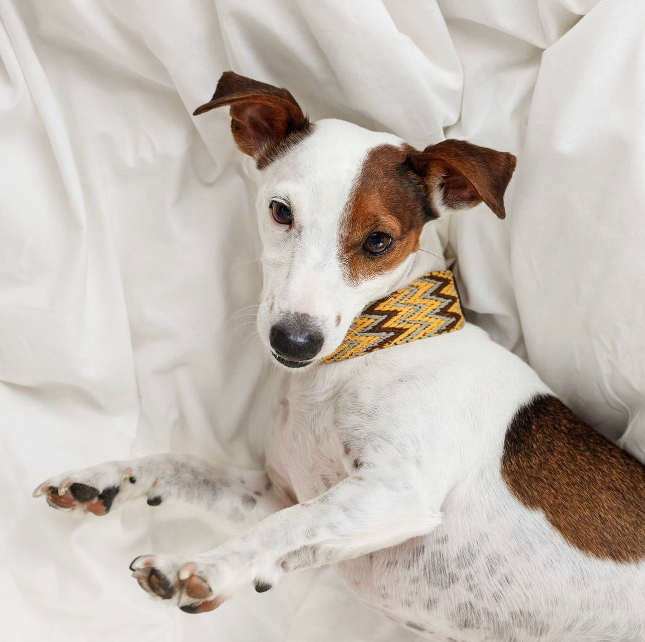 Peruvian Gold Collar