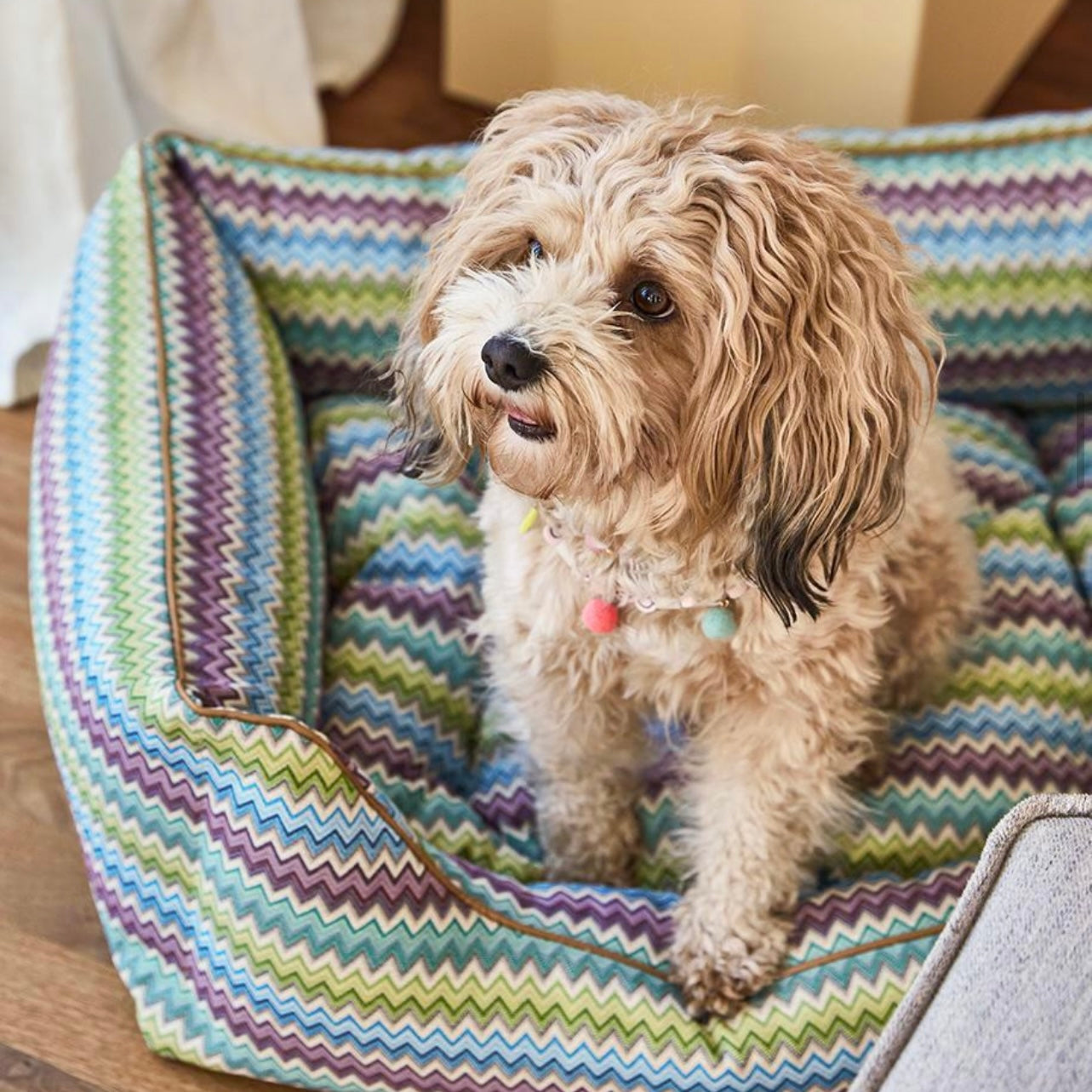 Zig Zag No. 1 dog bed