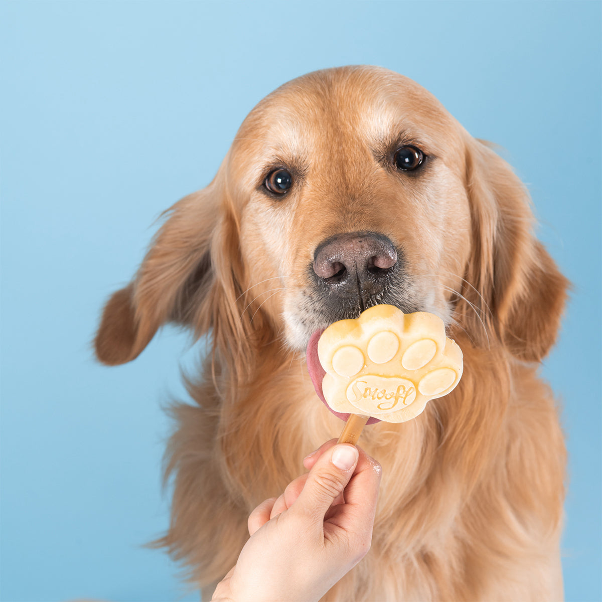 Ice Cream Mix for Dogs - Banana