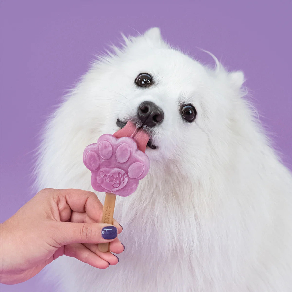Ice Cream Mix for Dogs - Blueberry