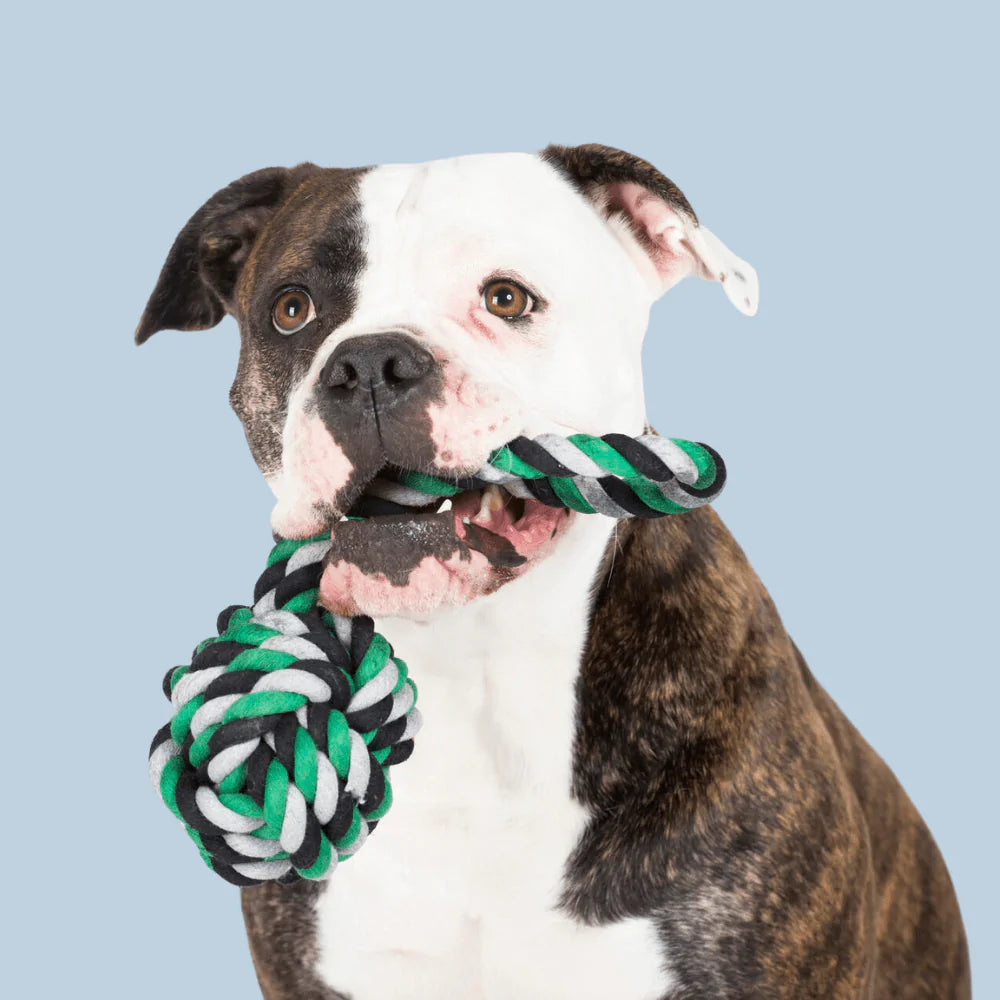 Schleuderball - Black/Grey/Green