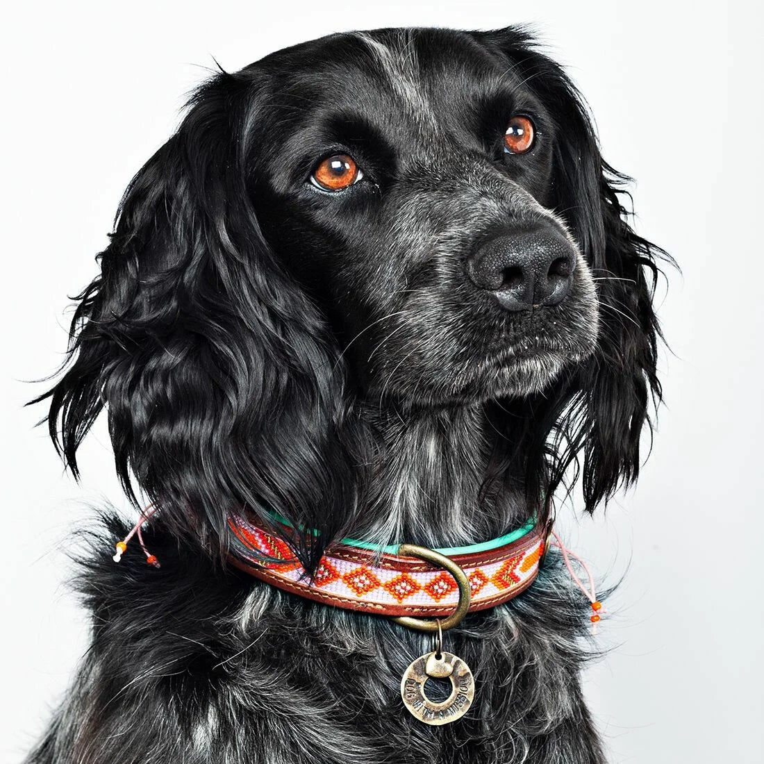 Sweet Mae Collar
