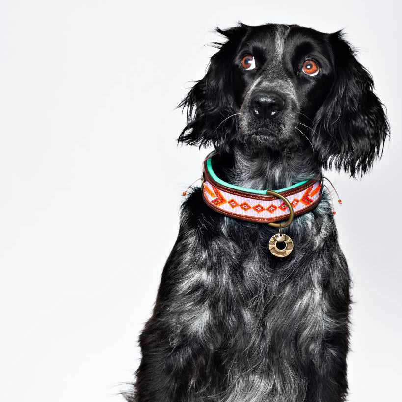 Sweet Mae Collar