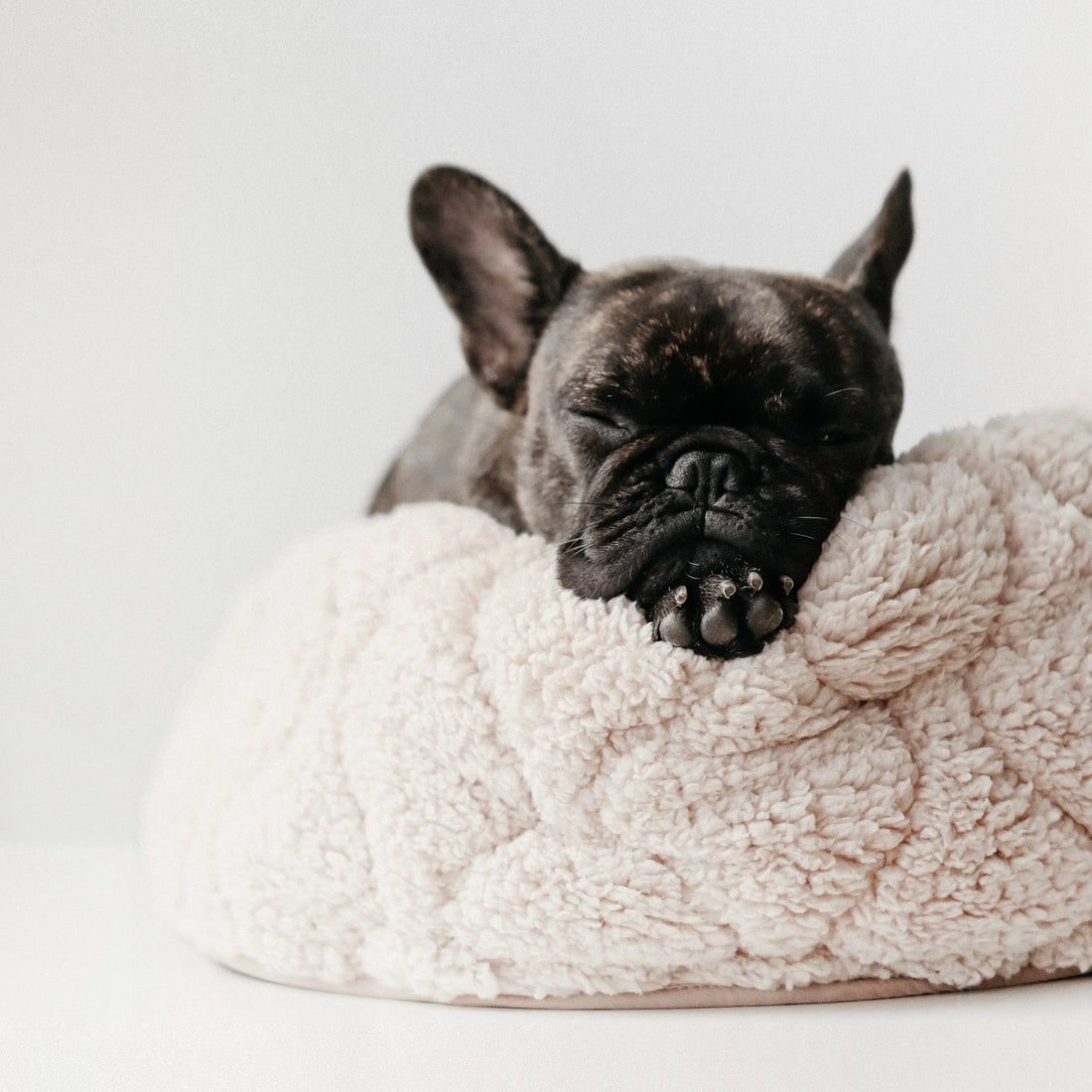 Taart Reversible Donut Bed