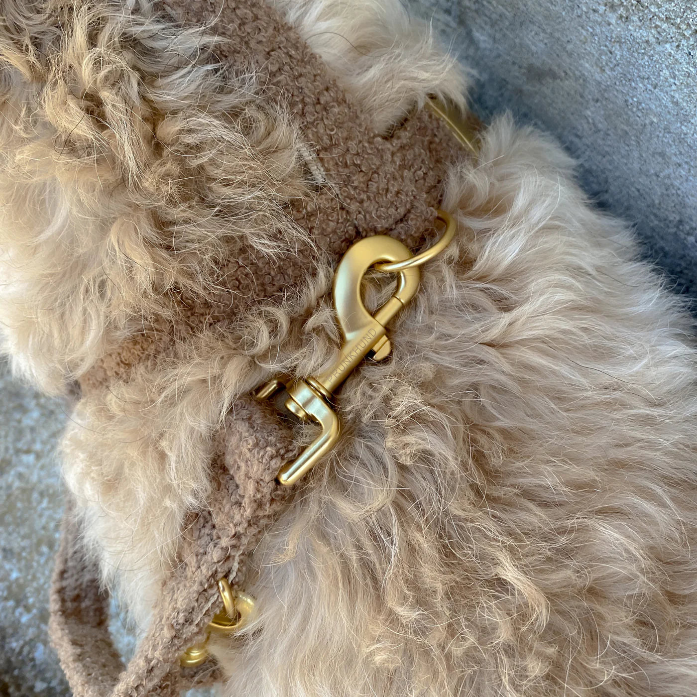 Leash Teddy - Tan