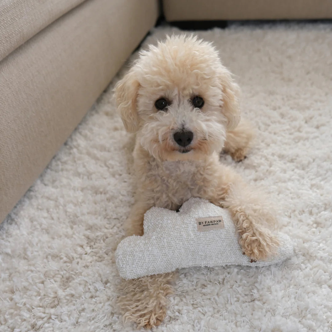 Cloud Toy