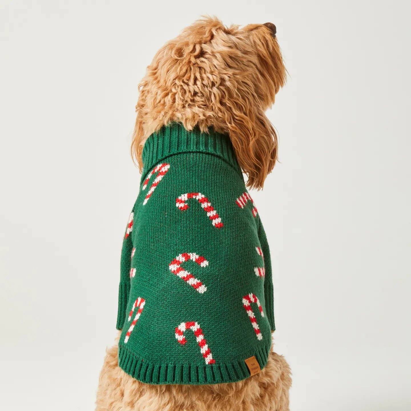 Evergreen Candy Canes Dog Sweater