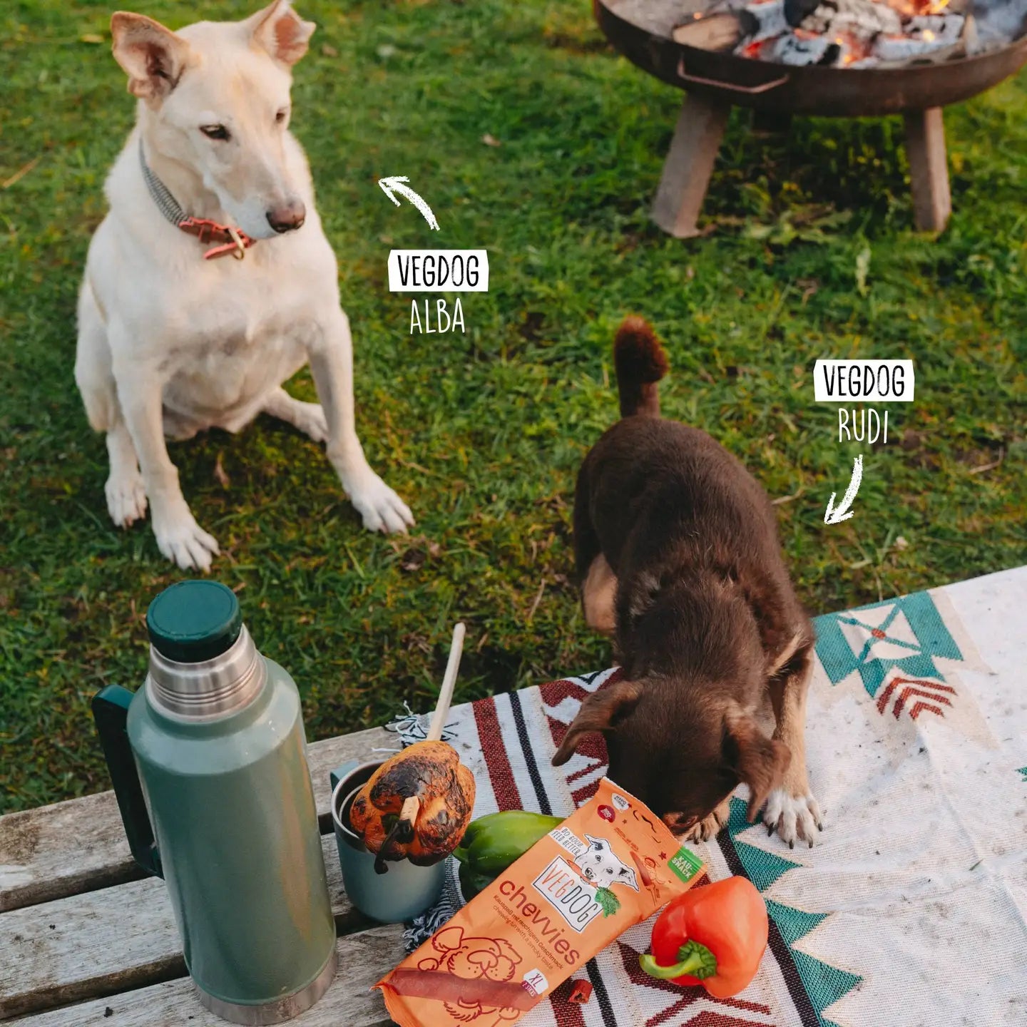 VEGDOG - Chevvies Xl