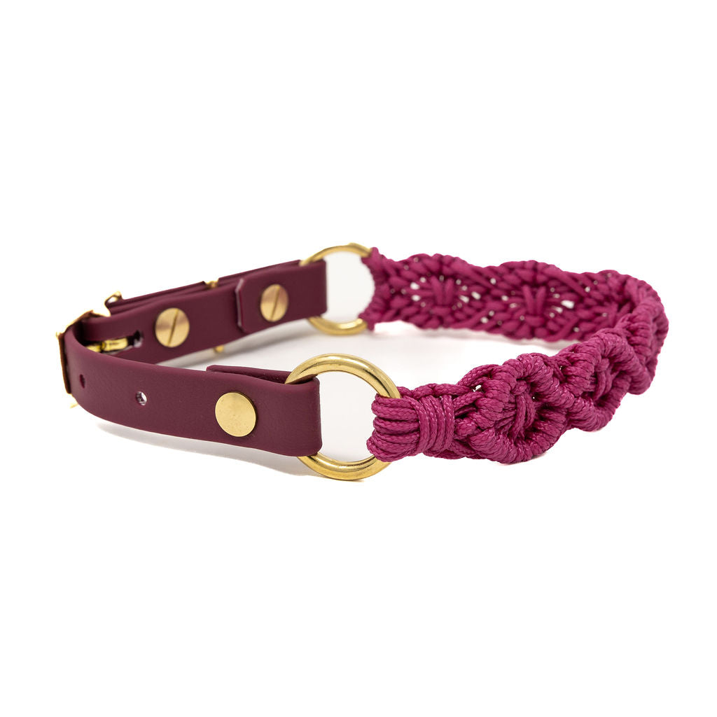 Fuchsia Ocean Collar