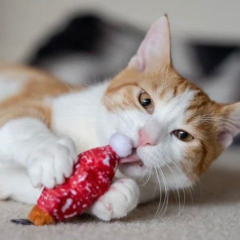 Meowy Christmas | Cat Toy