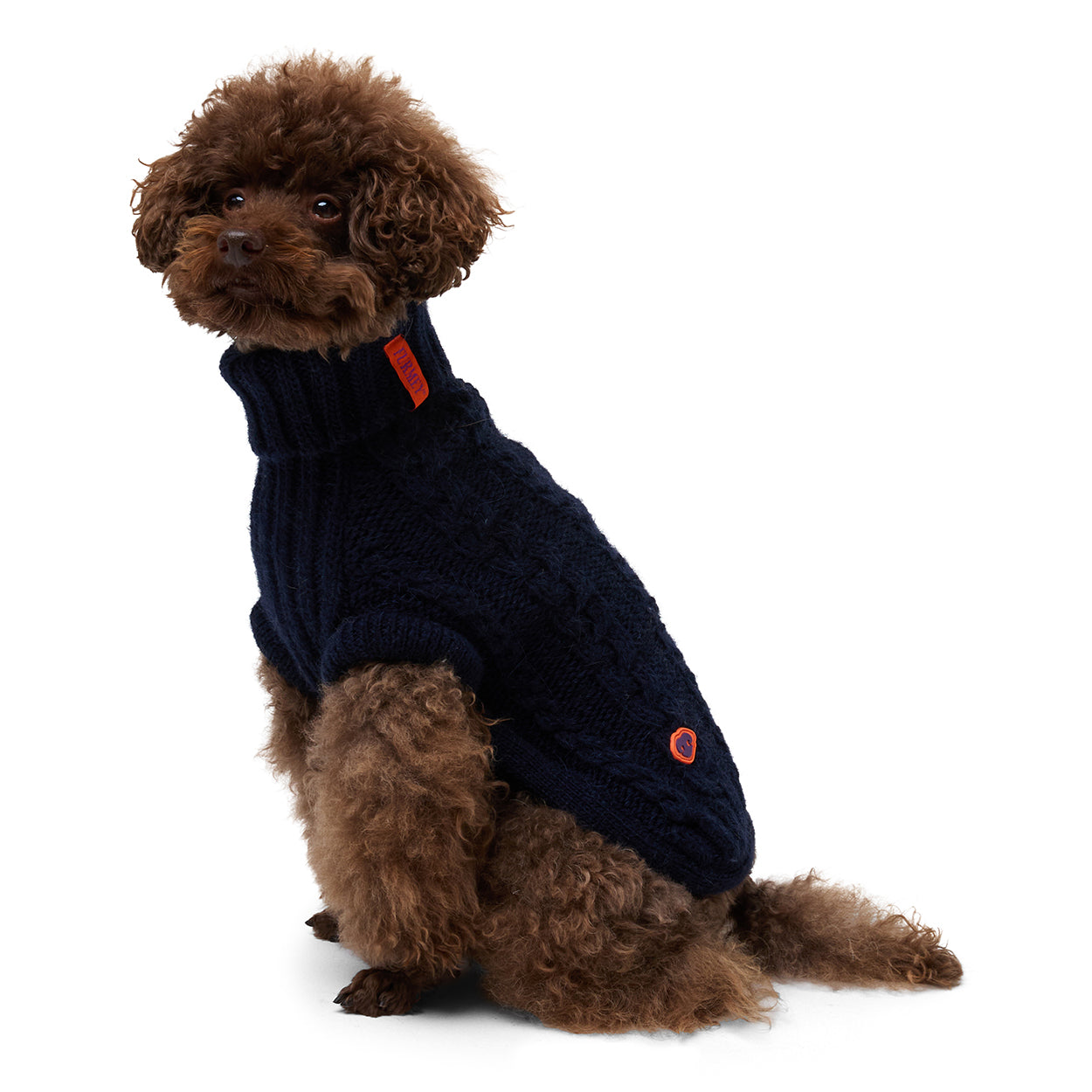 Bold - Bowie Blue 💙