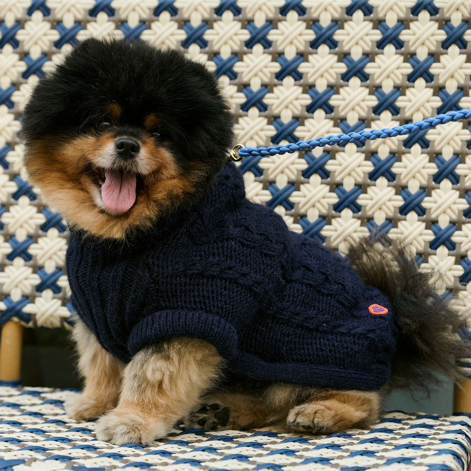 Bold - Bowie Blue 💙