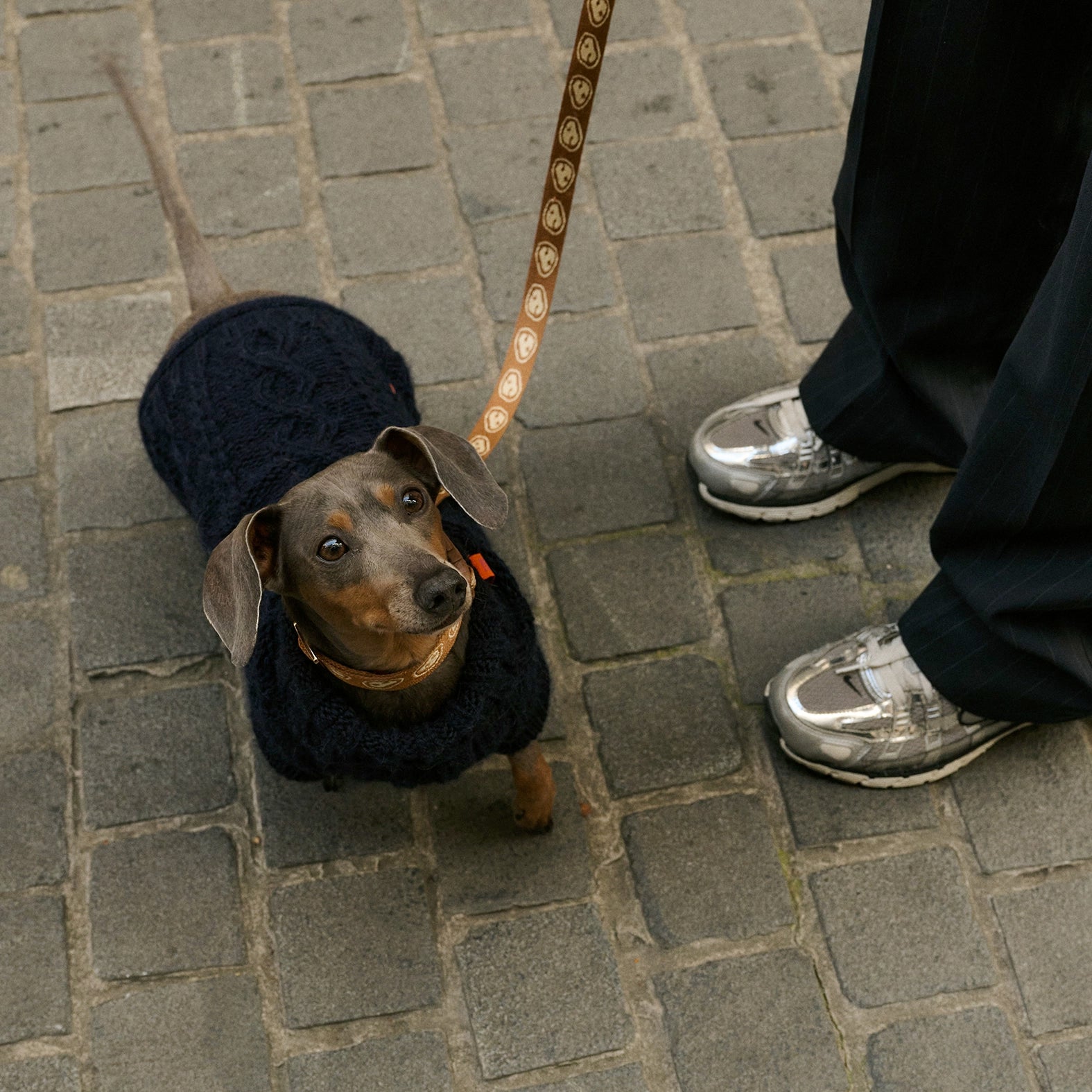 Bold - Bowie Blue 💙