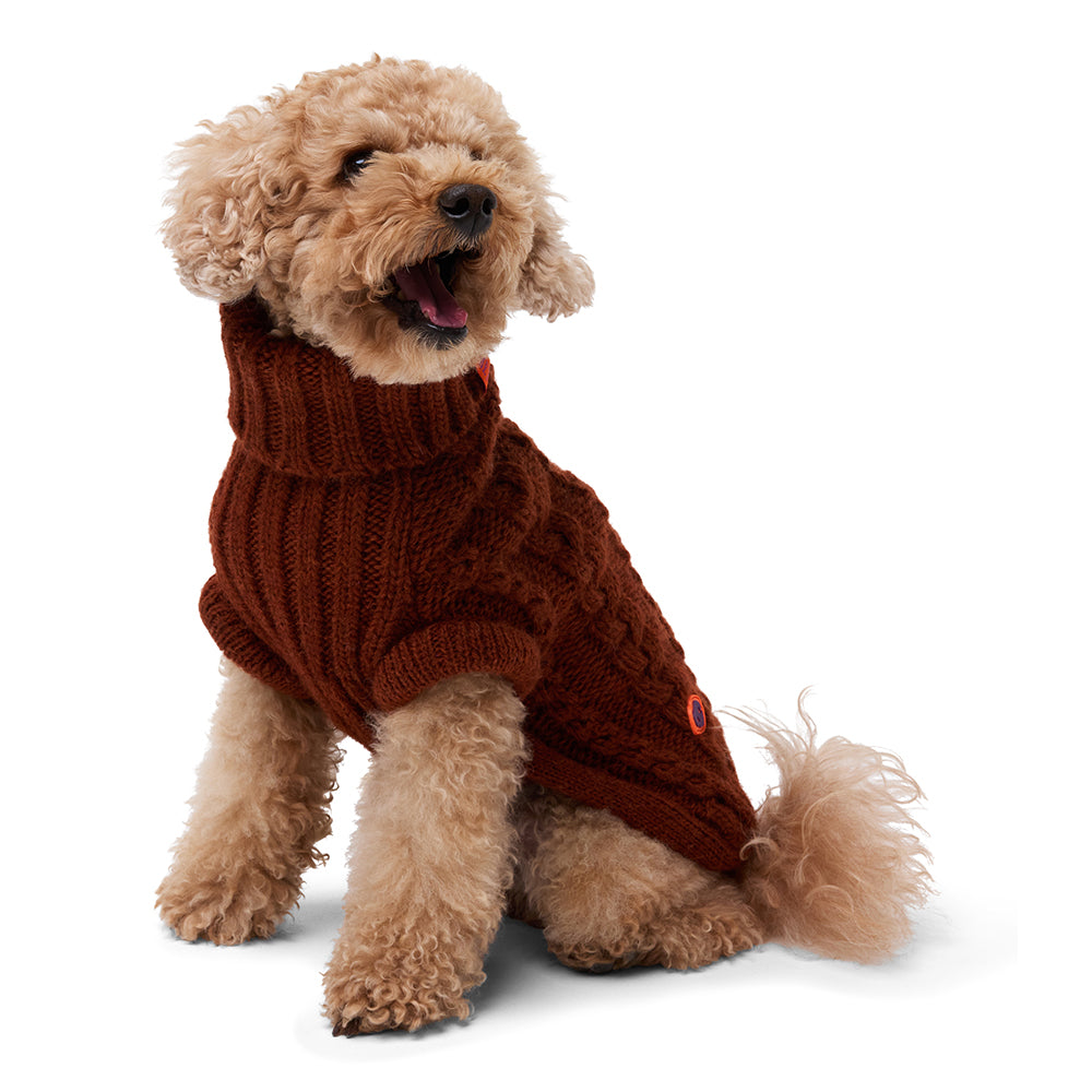 Bold - Pinocchio Brown