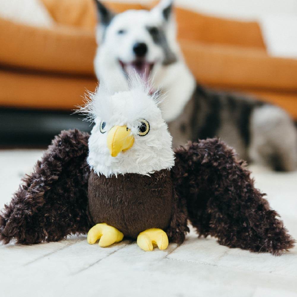 Edgar the Eagle