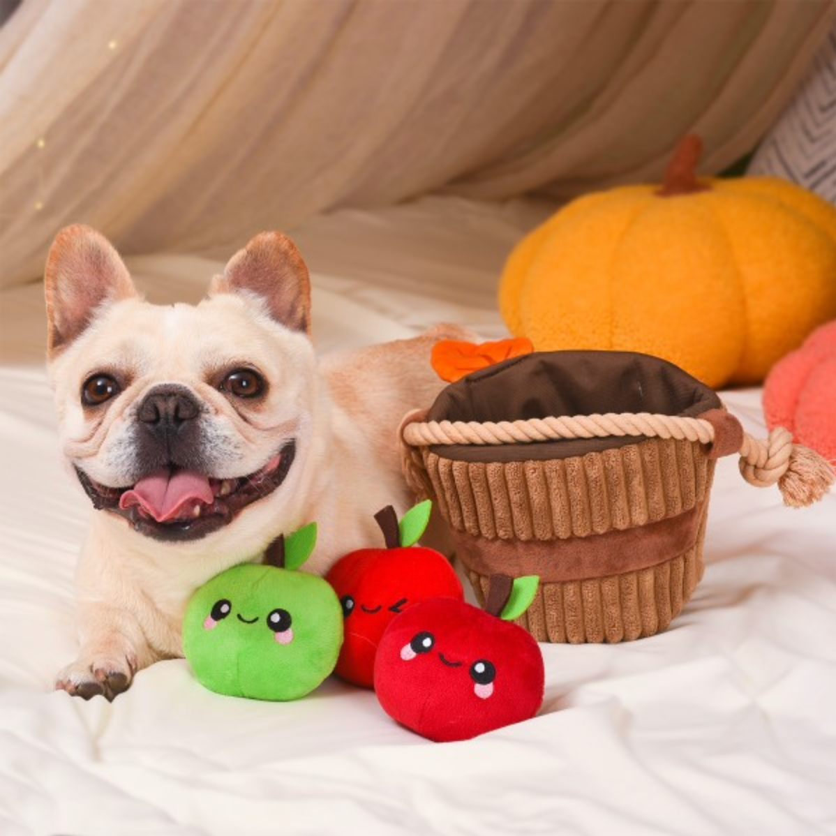 Apple Basket