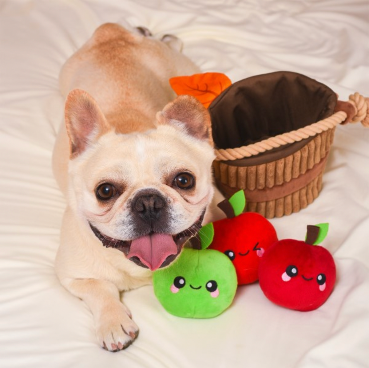 Apple Basket