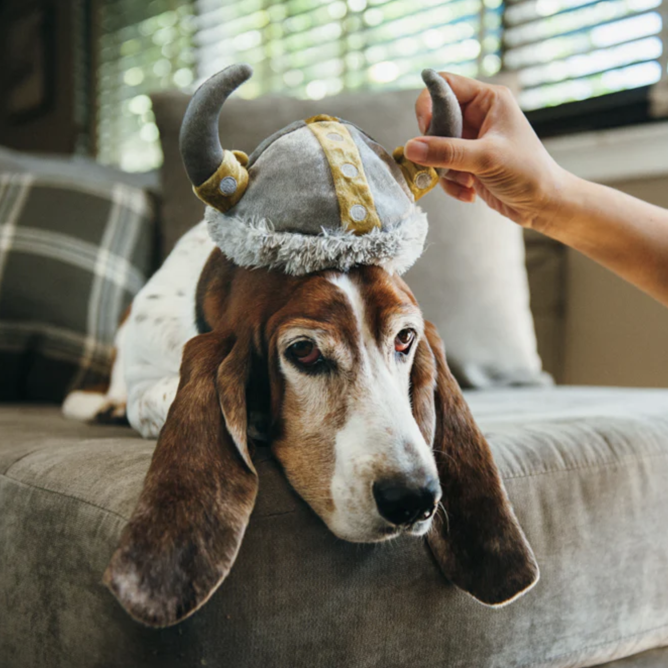 Viking Hat
