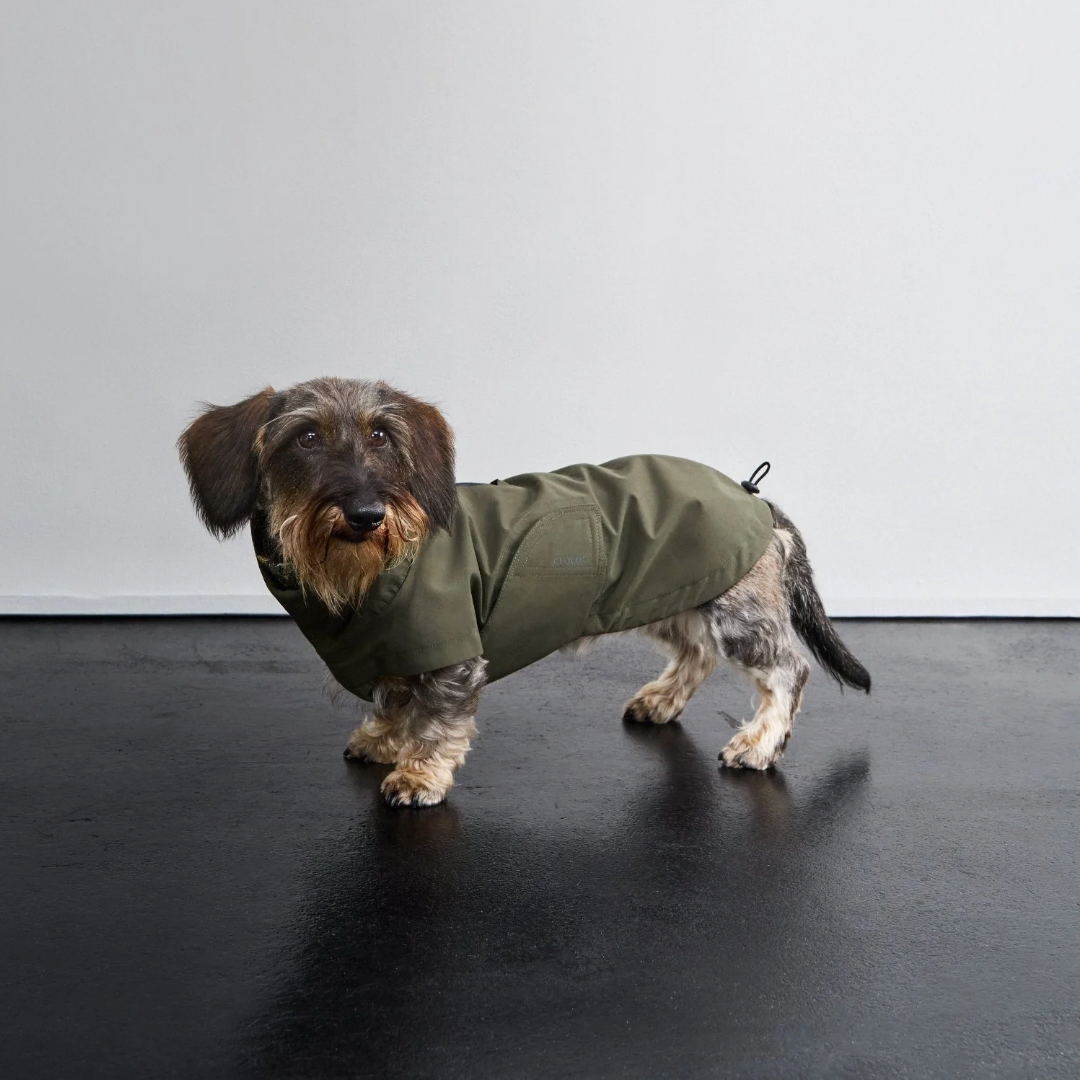 Cloud7 Dublin 2.0 Raincoat DACHSHUND - Dark Olive