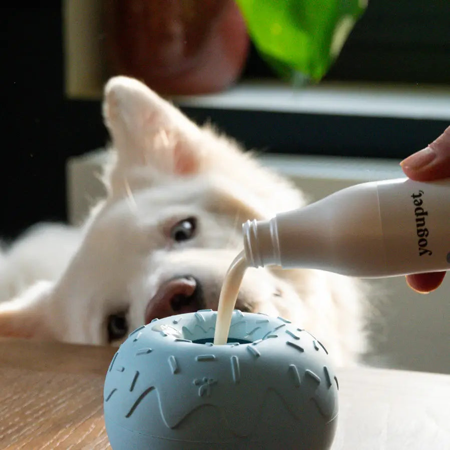 Yoomy Donut Enrichment Toy | Blue