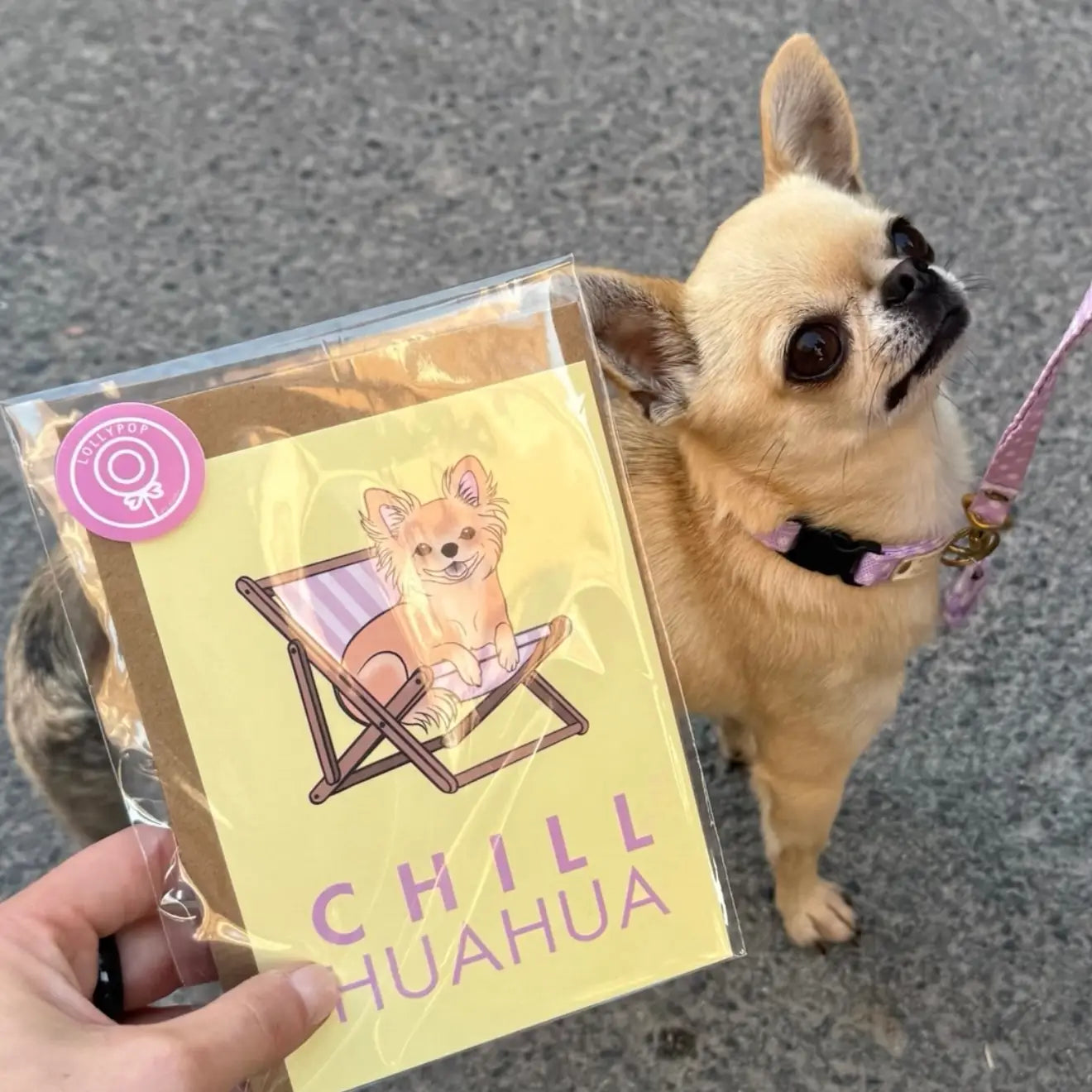 Chillhuahua Greeting Card