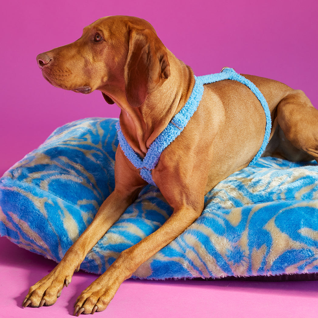 Flauschiges Hundebett Swirl - Blau/Beige