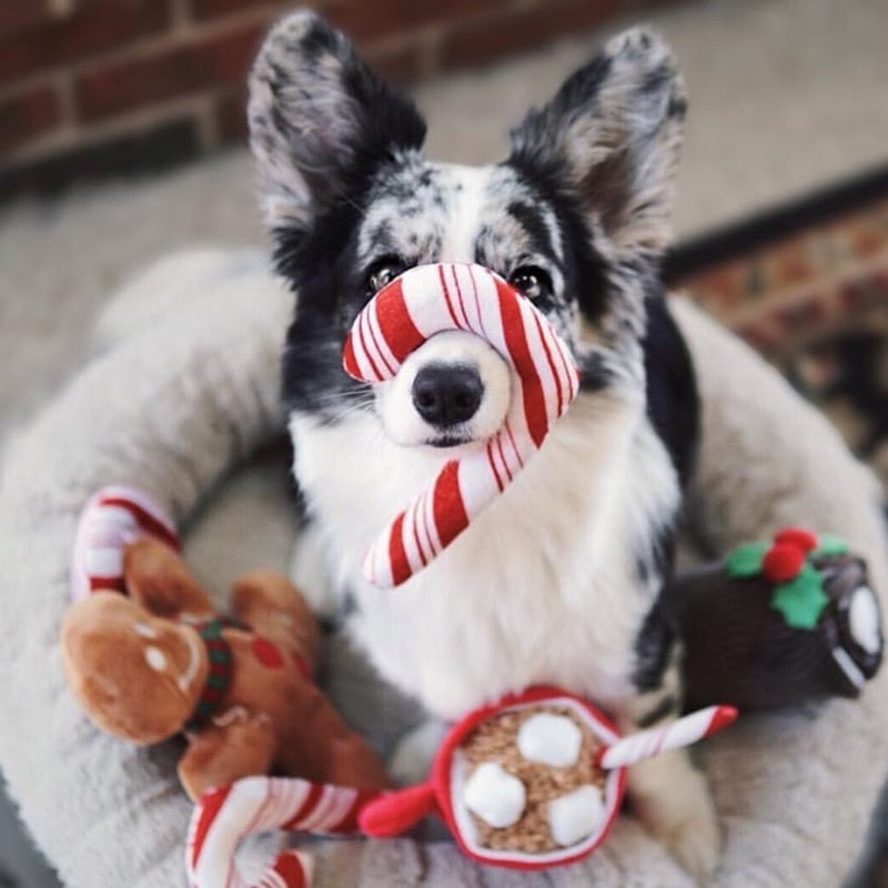 Cheerful Candy Canes