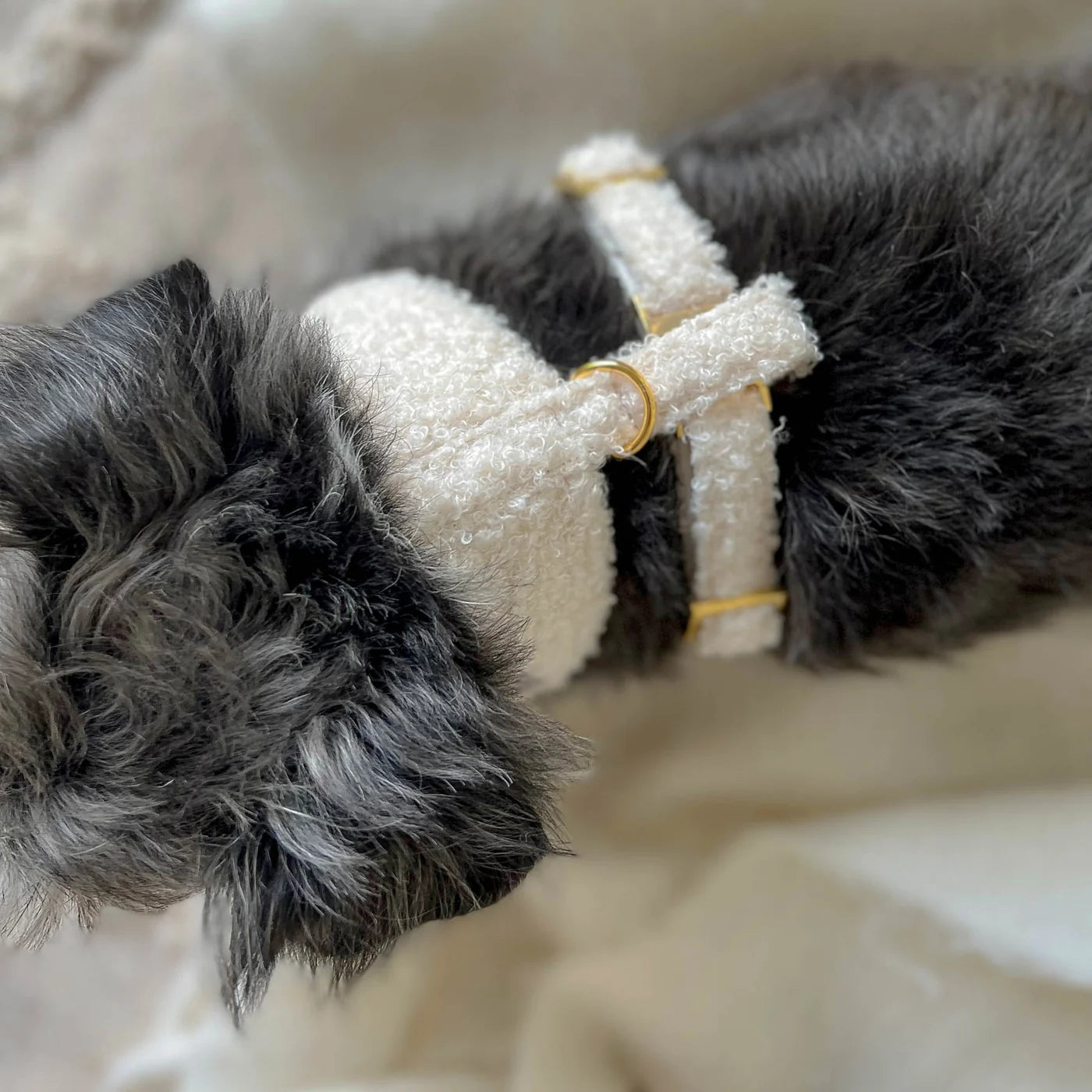 Softgeschirr Teddy - Creme