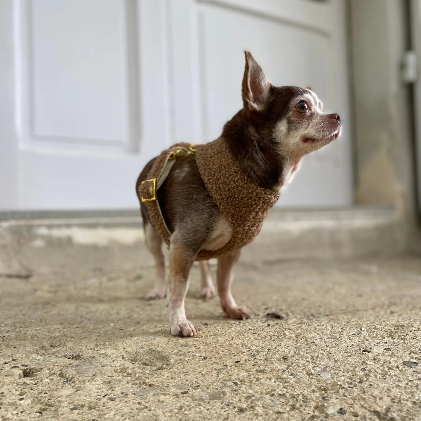 Softgeschirr Teddy - Tan