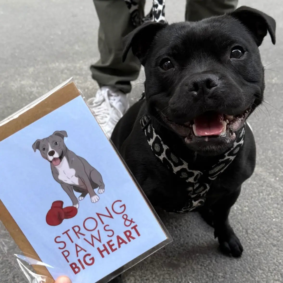 American Staff Strong Paws Big Heart Greeting Card