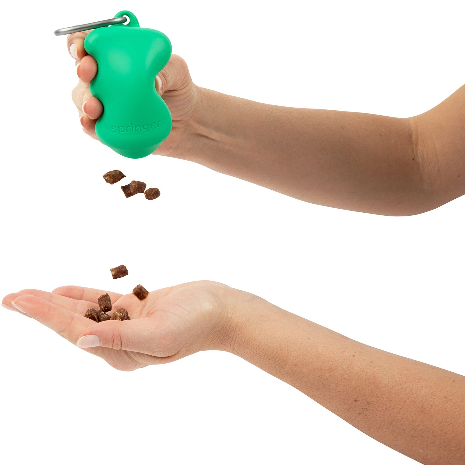 Dispensador de golosinas de silicona para perros - Springer Green