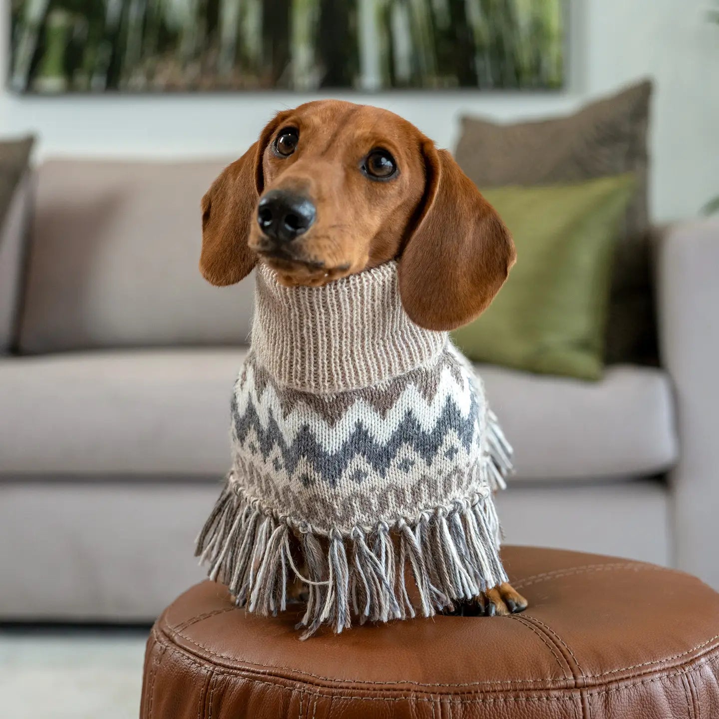 Woolly Winter Alpaca Poncho