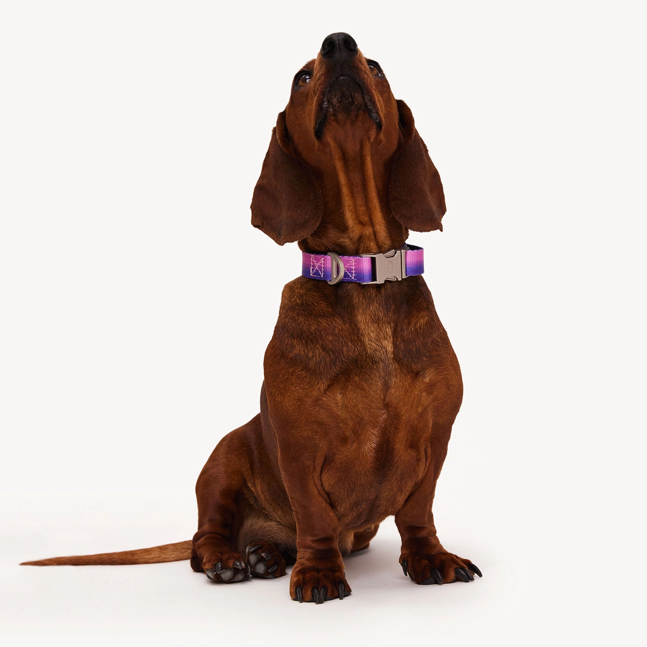 Collar degradado - Rosa/Morado