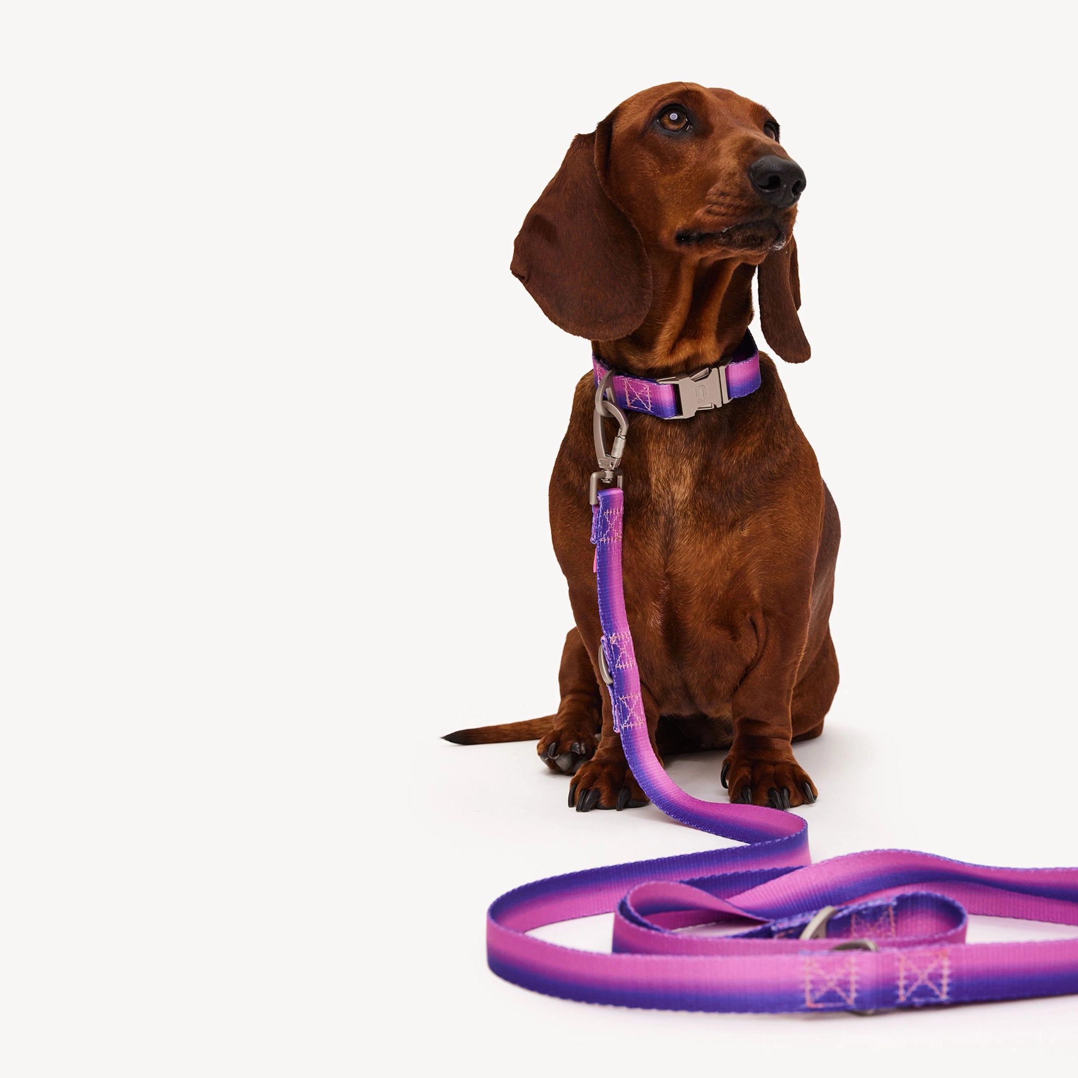 Collar degradado - Rosa/Morado