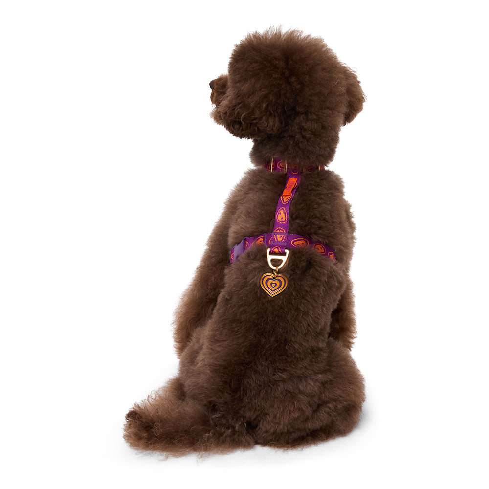 Harness - Furmey Orange