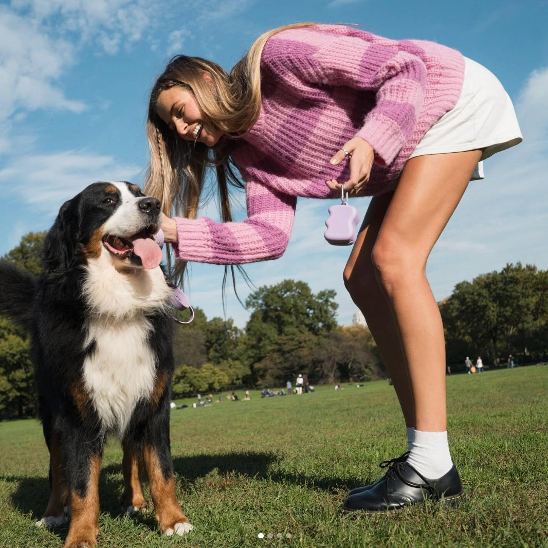 Dispensador de golosinas de silicona para perros - Lila