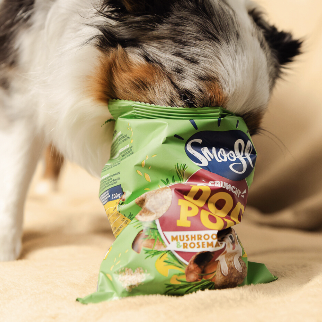 Dog Pops | Champiñón y Romero