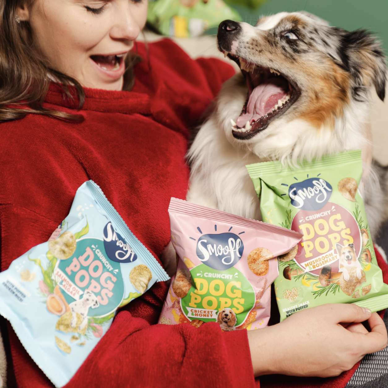 Dog Pops | Champiñón y Romero