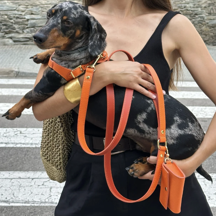 Juno Poop Bag Holder - Orange
