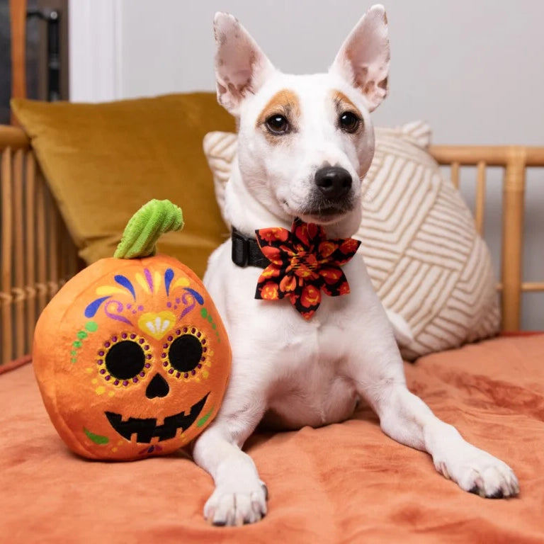 Sugar Skull Pumpkin